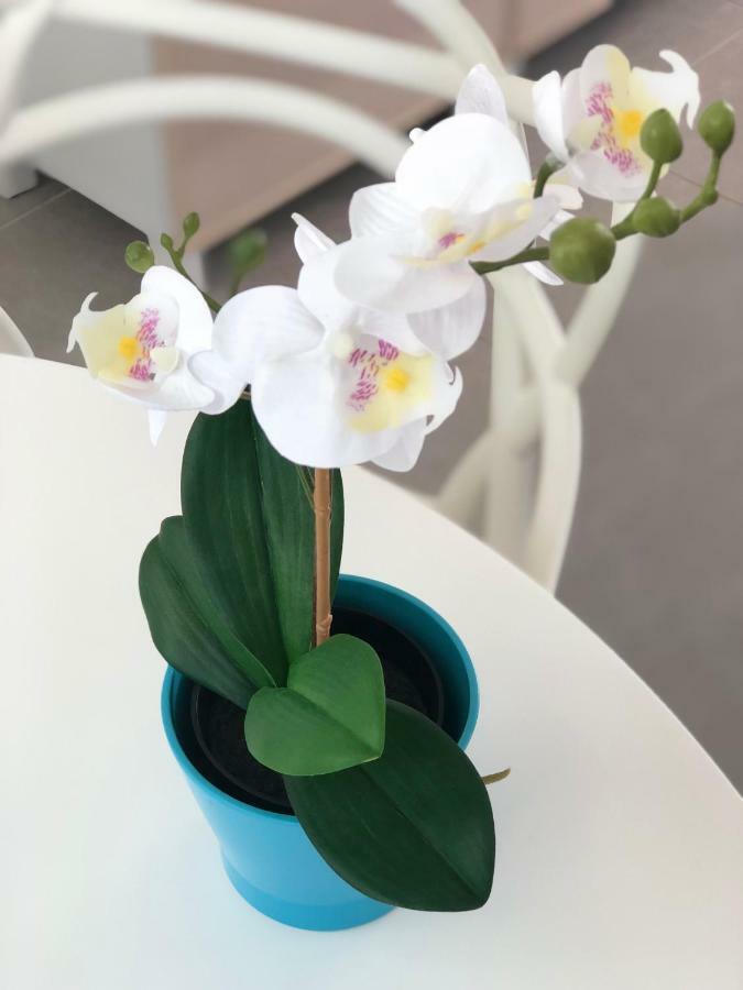 Luxury Beachfront Penthouse เอลเมดาโน ภายนอก รูปภาพ
